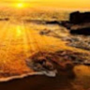 Meet your Posher, Jerry